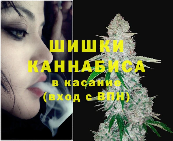 СК Дмитровск