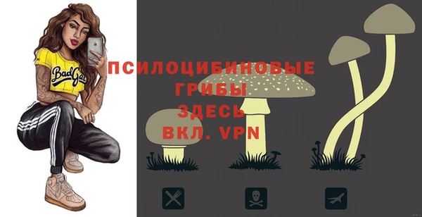 гидра Дмитриев