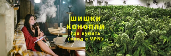 СК Дмитровск