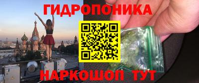шишки Изобильный