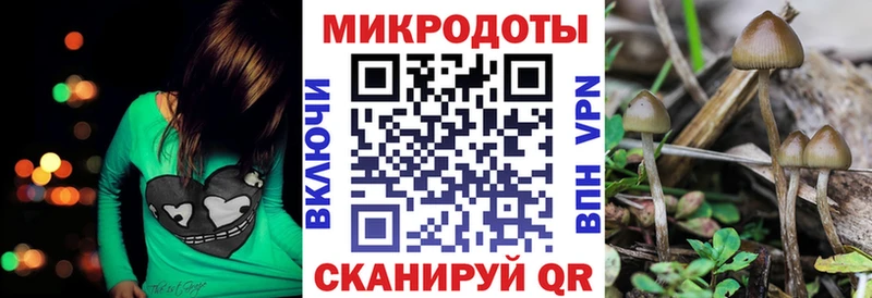где продают   Сегежа  Псилоцибиновые грибы GOLDEN TEACHER 