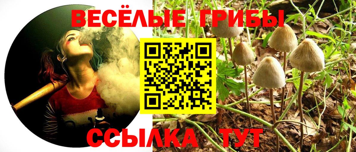 Галлюциногенные грибы мухоморы  Вход с VPN  Сегежа  Псилоцибиновые грибы Cubensis 